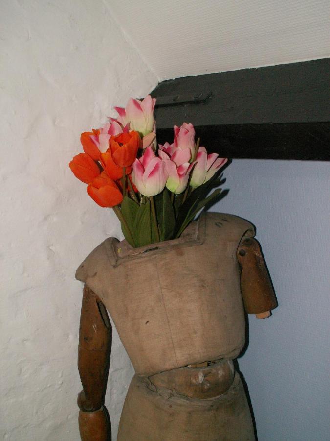 Expect The Unexpected !!! Bruges Extérieur photo